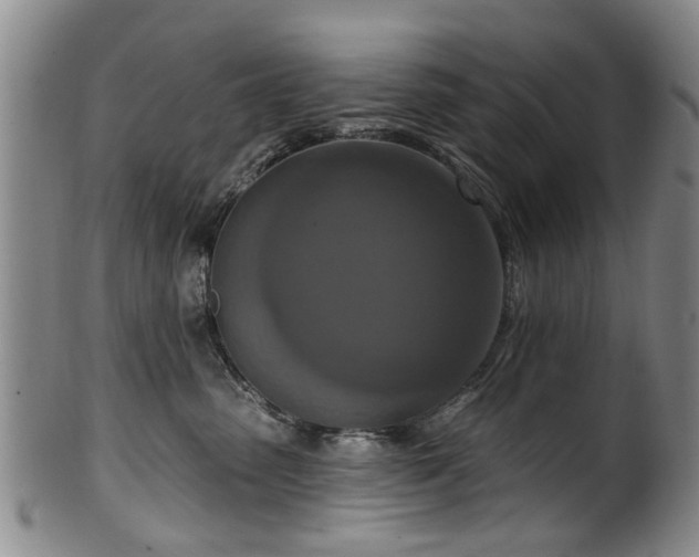 X0000100360475200806061143