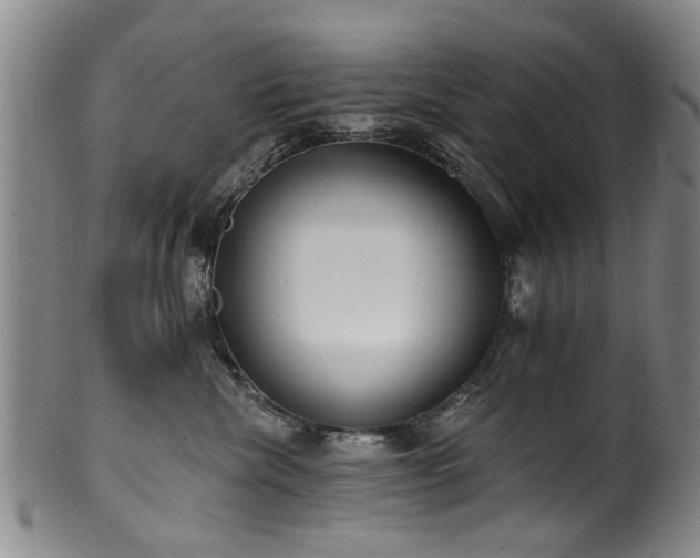 X0000100360476200806061143