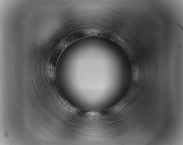 X0000100360477200806061143