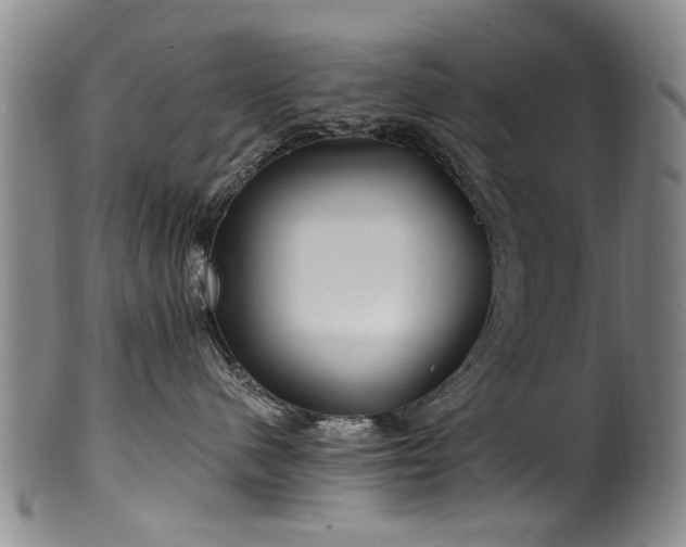 X0000100360480200806061143