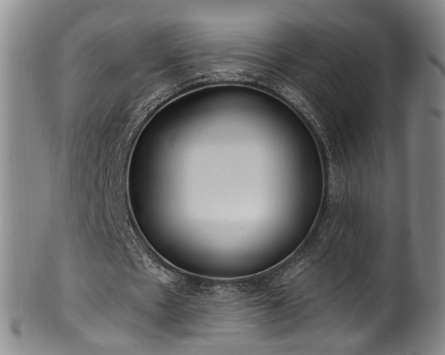 X0000100360481200806061142