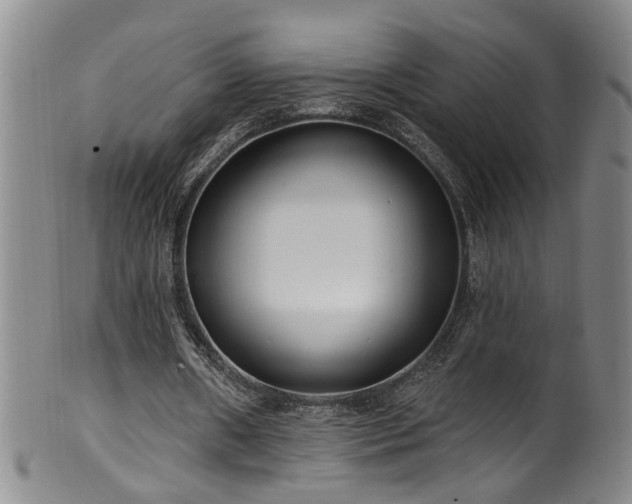 X0000100360482200806061142