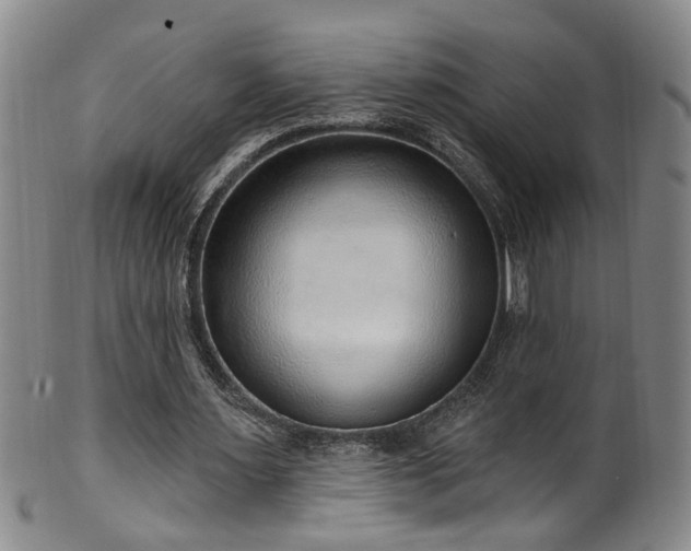 X0000100360483200806061142