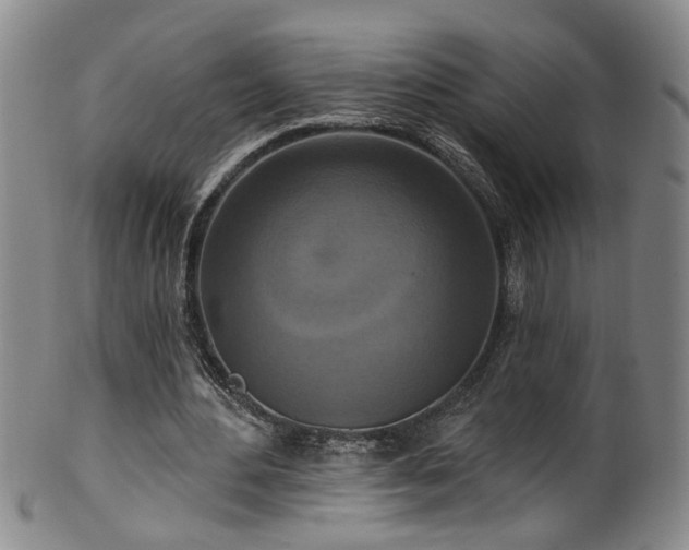 X0000100360484200806061142