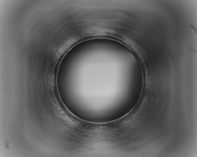 X0000100360485200806061142