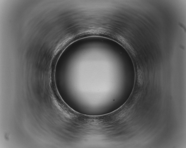 X0000100360486200806061142