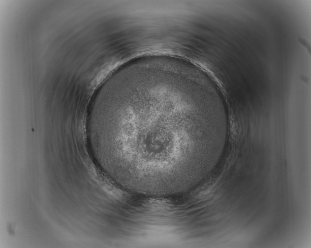 X0000100360487200806061142