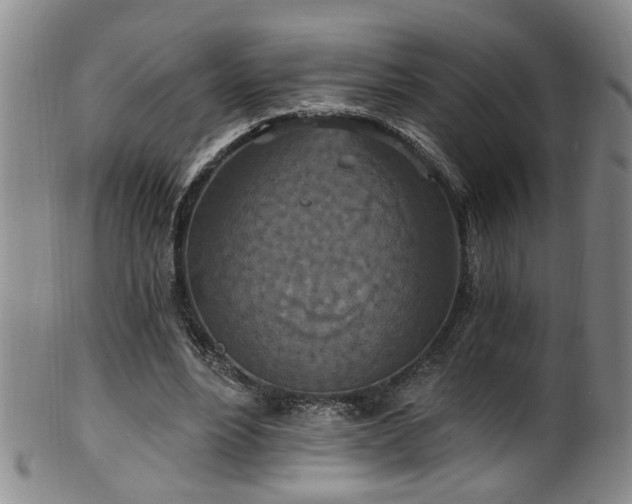 X0000100360488200806061142