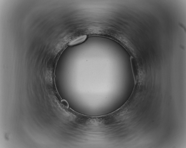 X0000100360489200806061142