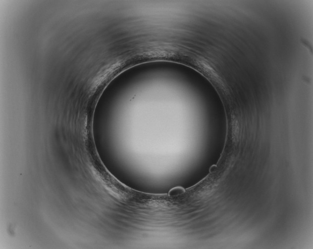 X0000100360490200806061142