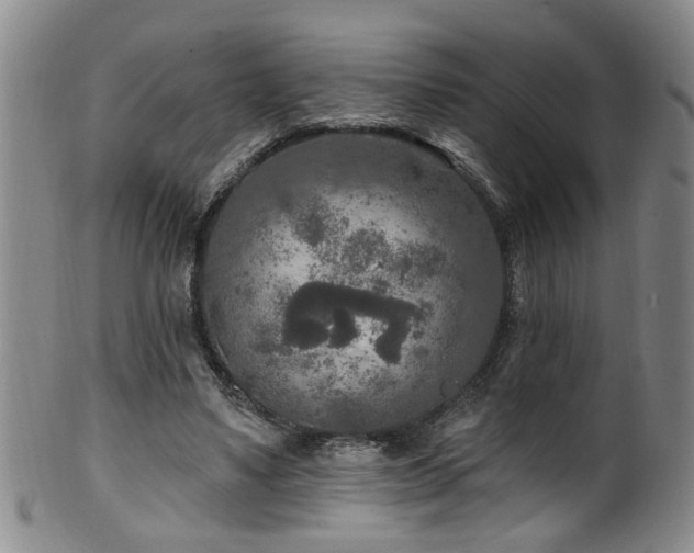 X0000100360491200806061142