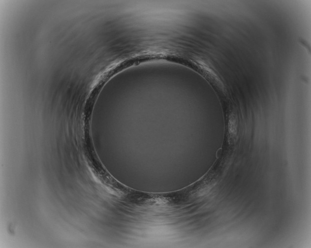 X0000100360492200806061142