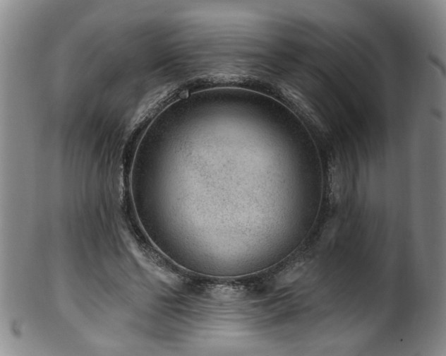 X0000100360494200806061142