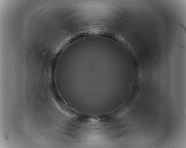 X0000100360496200806061142