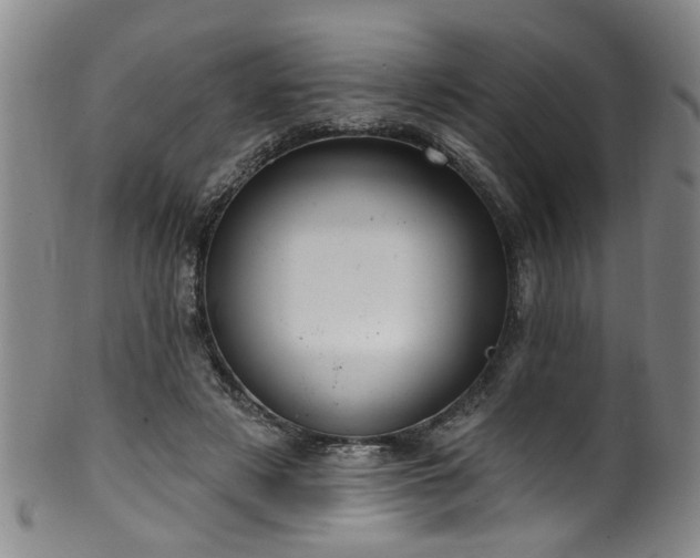 X0000100360497200806061142