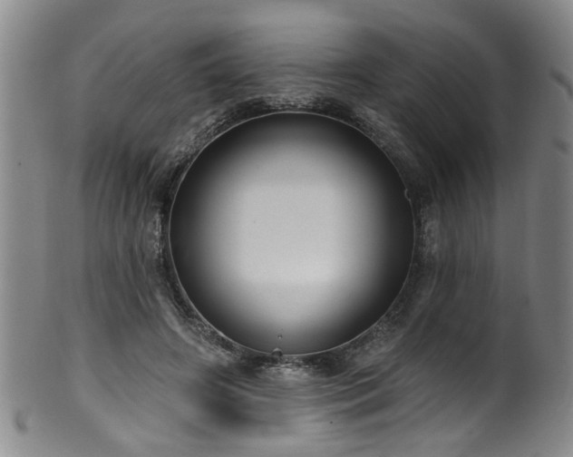 X0000100360498200806061142