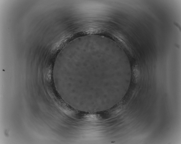 X0000100360499200806061142