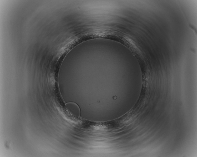 X0000100360500200806061141