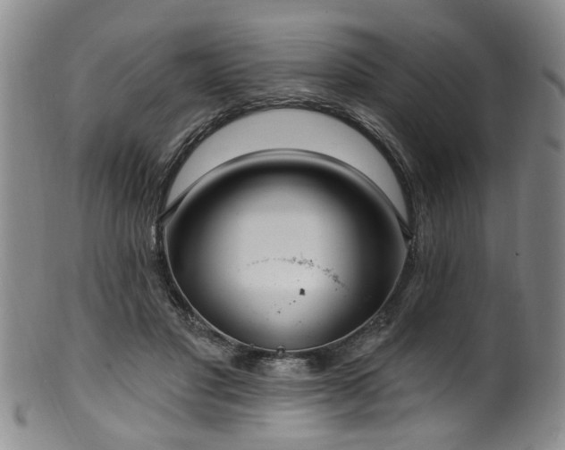 X0000100360501200806061141