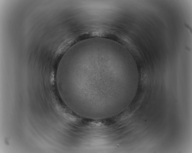 X0000100360502200806061141