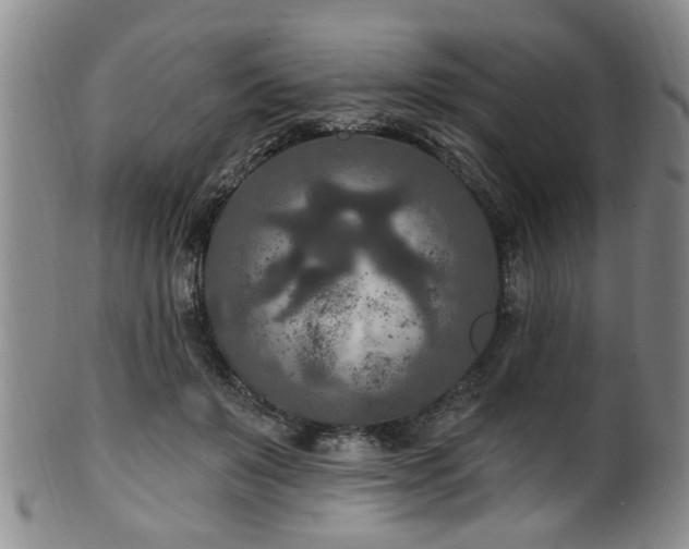 X0000100360503200806061141