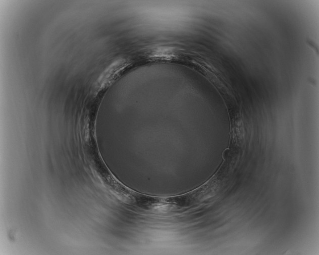 X0000100360504200806061141