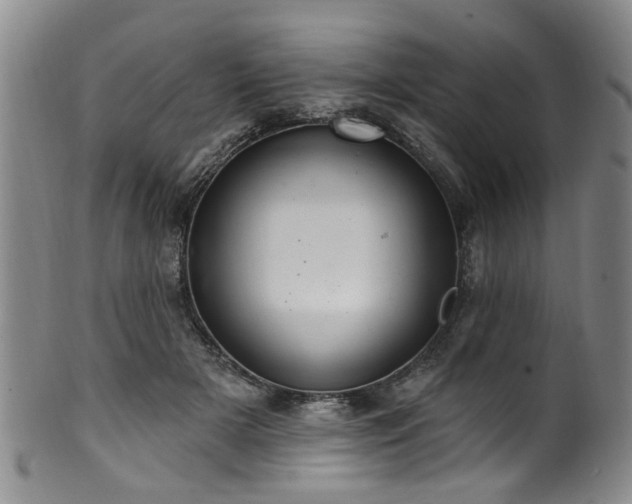 X0000100360505200806061141