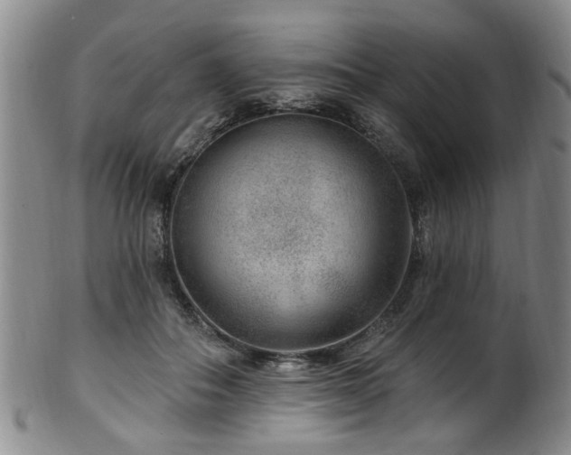 X0000100360506200806061141