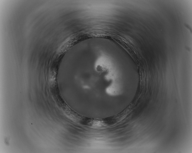 X0000100360507200806061141