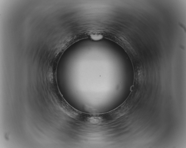 X0000100360508200806061141