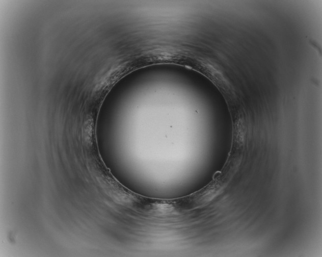 X0000100360509200806061141