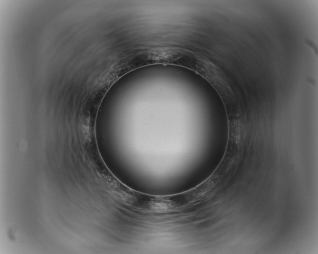 X0000100360510200806061141