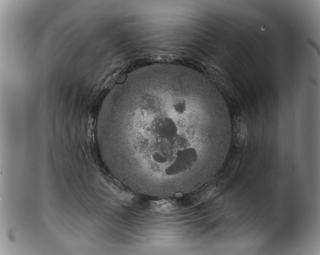 X0000100360511200806061141