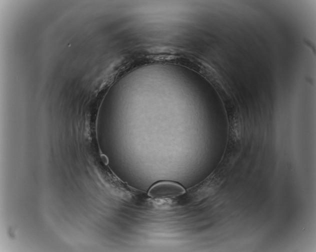 X0000100360512200806061141