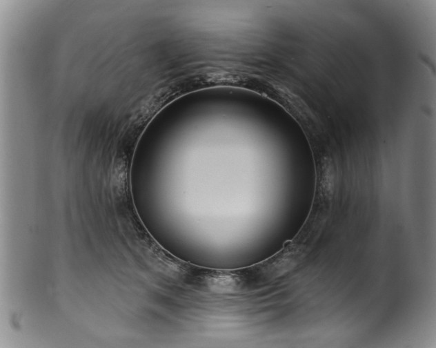 X0000100360513200806061141