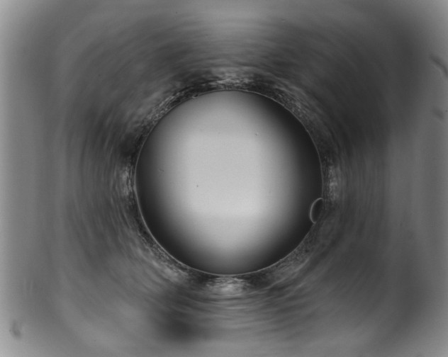 X0000100360514200806061141