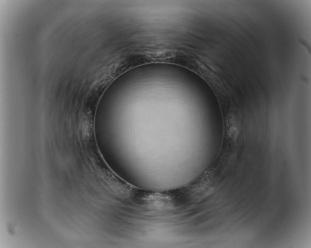 X0000100360515200806061141