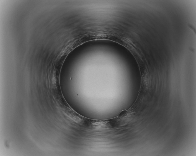 X0000100360516200806061141