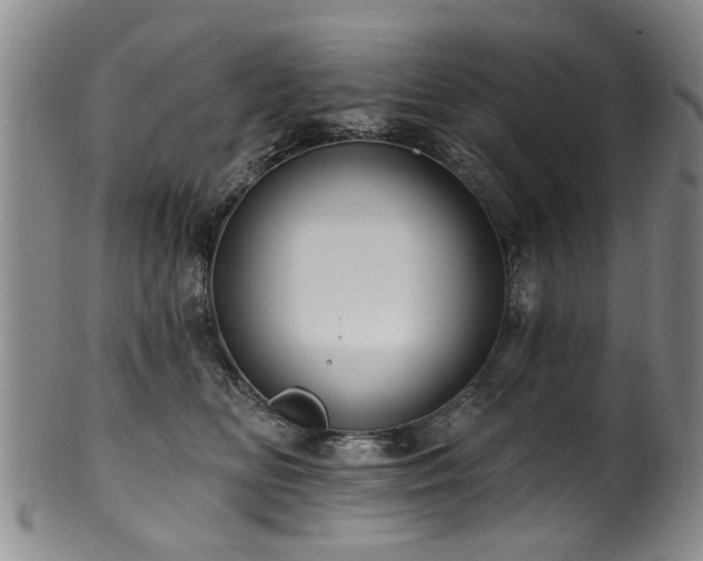 X0000100360518200806061141