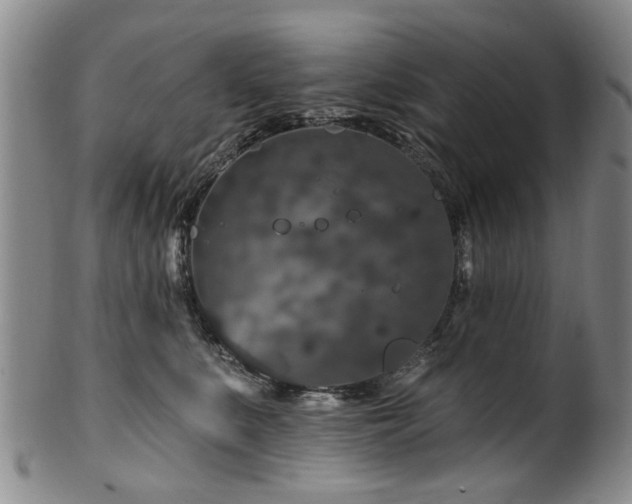 X0000100360519200806061141