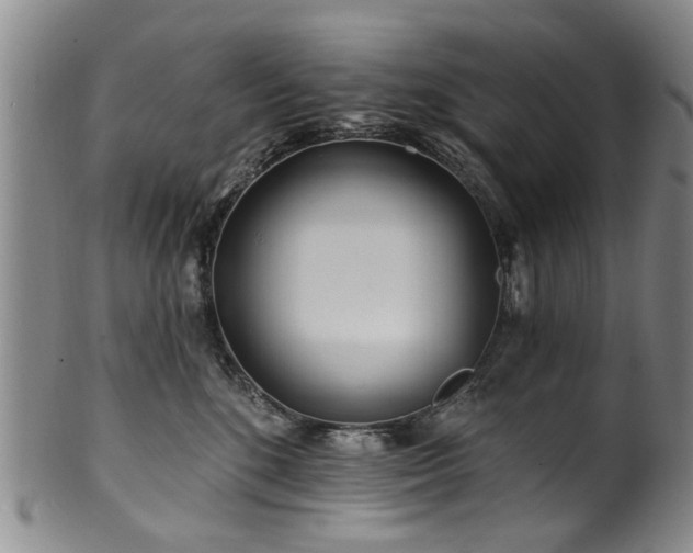 X0000100360520200806061141