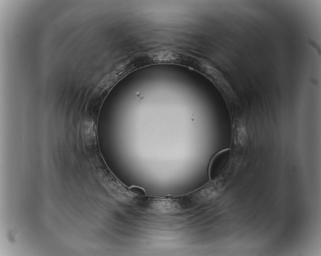 X0000100360521200806061141