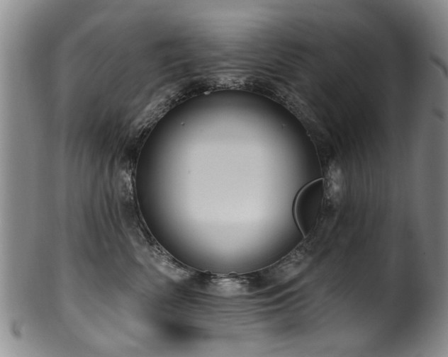 X0000100360522200806061141