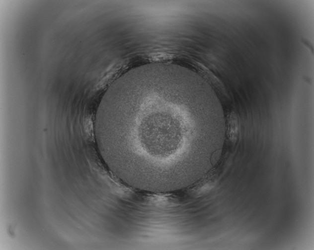 X0000100360523200806061141