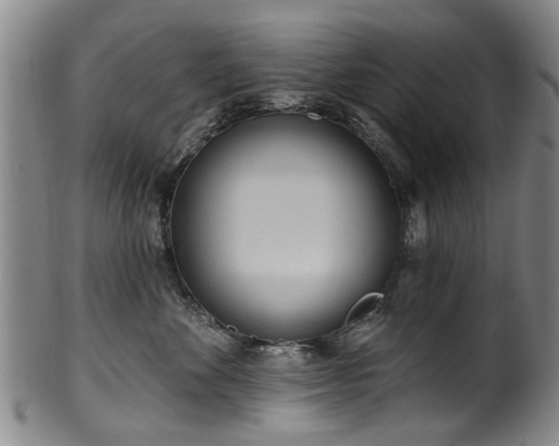 X0000100360524200806061141