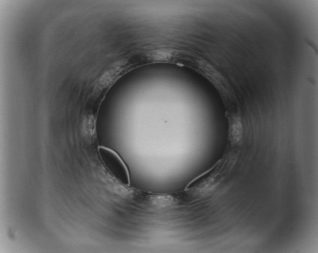 X0000100360525200806061141