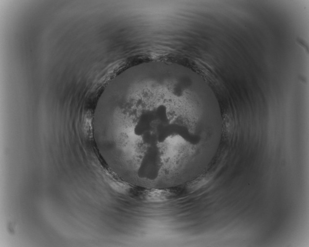 X0000100360527200806061141