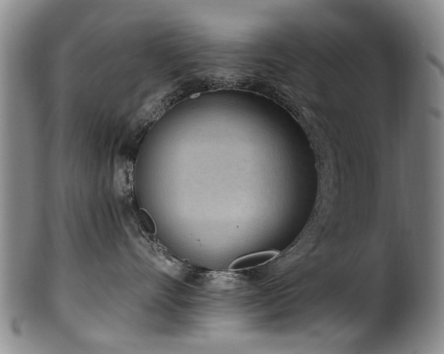 X0000100360528200806061141