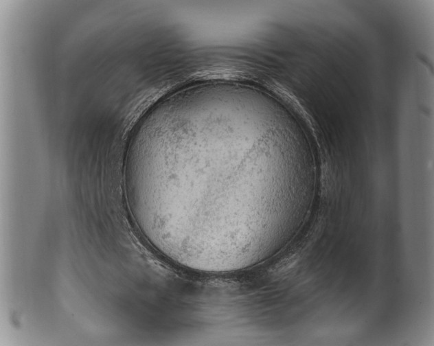 X0000100360529200806061140