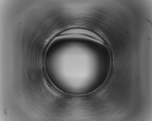 X0000100360530200806061140